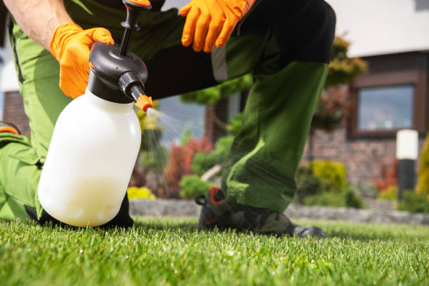 Reliable Eufaula, OK Pest Control Solutions