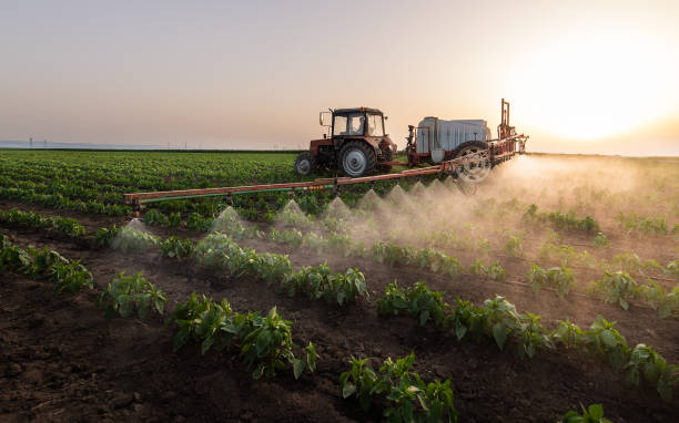 Best Pest Removal Services  in Eufaula, OK