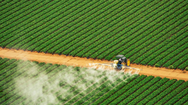 Trusted Eufaula, OK Pest Control Experts