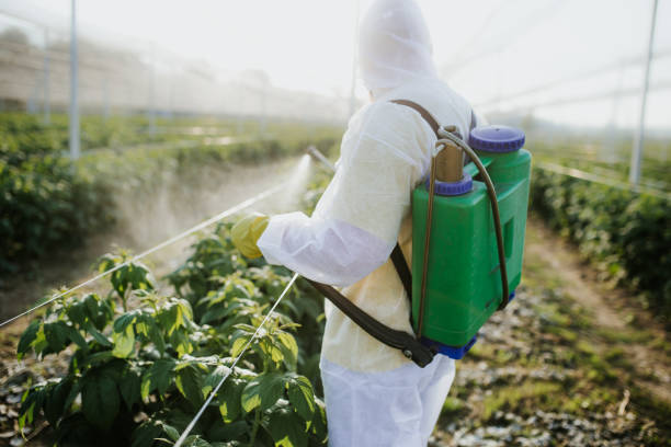 Best Pest Control Near Me in Eufaula, OK
